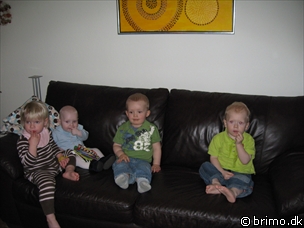 Miniature af billede nummer 805