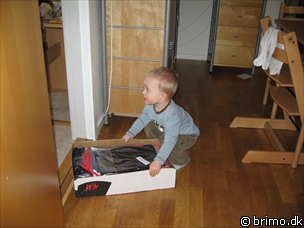 Miniature af billede nummer 806