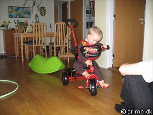 Miniature af billede nummer 810