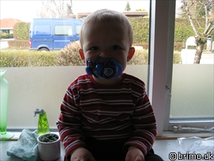 Miniature af billede nummer 814