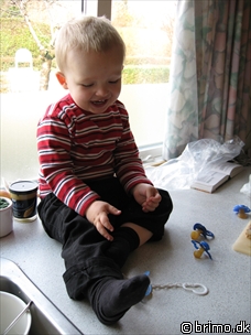 Miniature af billede nummer 815