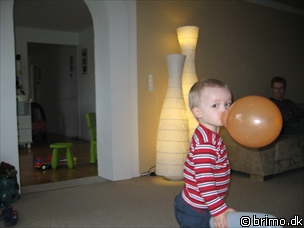 Miniature af billede nummer 817