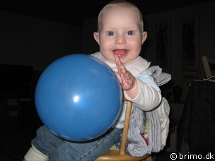 Miniature af billede nummer 818