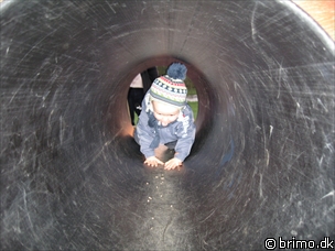 Miniature af billede nummer 826