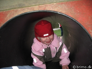 Miniature af billede nummer 827