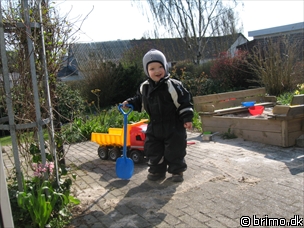 Miniature af billede nummer 831