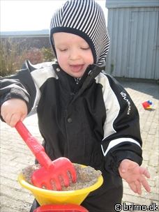 Miniature af billede nummer 833