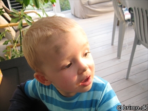 Miniature af billede nummer 835