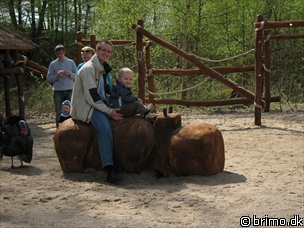 Tilfældigt billede fra Maj 2008
