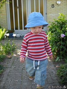 Miniature af billede nummer 838