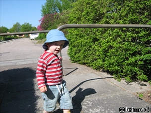 Miniature af billede nummer 839