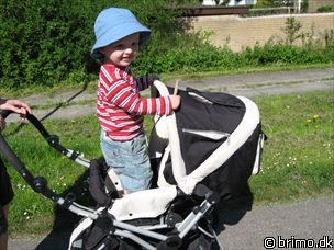 Miniature af billede nummer 841