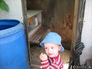 Miniature af billede nummer 843