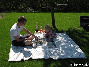 Miniature af billede nummer 844