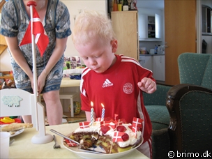 Miniature af billede nummer 846