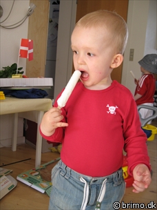 Miniature af billede nummer 847