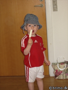 Miniature af billede nummer 849