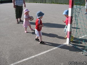 Miniature af billede nummer 850