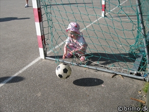 Miniature af billede nummer 852