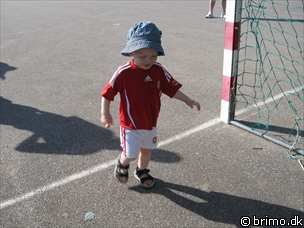 Miniature af billede nummer 853