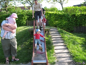 Miniature af billede nummer 854