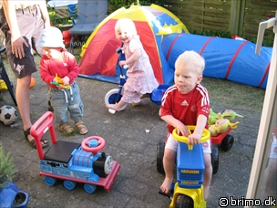 Miniature af billede nummer 855