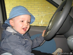 Miniature af billede nummer 858