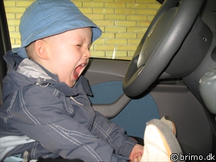 Miniature af billede nummer 859