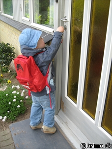 Miniature af billede nummer 862