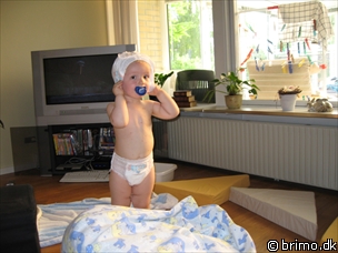 Miniature af billede nummer 868