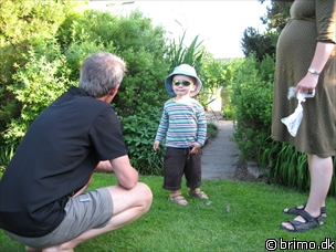 Miniature af billede nummer 870