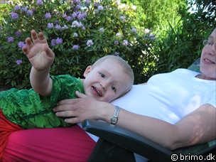 Miniature af billede nummer 872