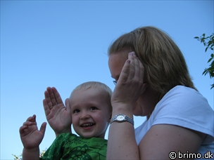 Miniature af billede nummer 874