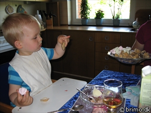 Miniature af billede nummer 875