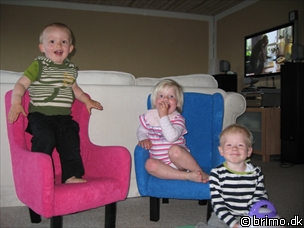 Miniature af billede nummer 878