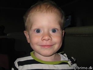 Miniature af billede nummer 879