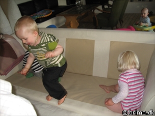 Miniature af billede nummer 881