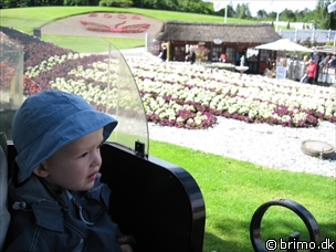 Miniature af billede nummer 887