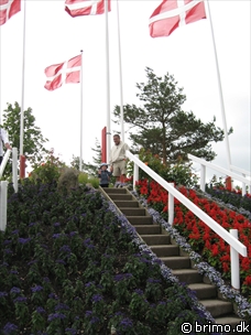 Miniature af billede nummer 889