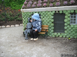 Miniature af billede nummer 890