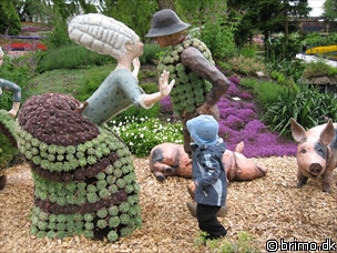 Miniature af billede nummer 892