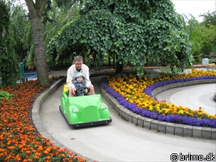 Miniature af billede nummer 893