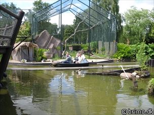 Miniature af billede nummer 894