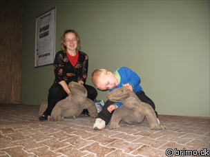 Miniature af billede nummer 897