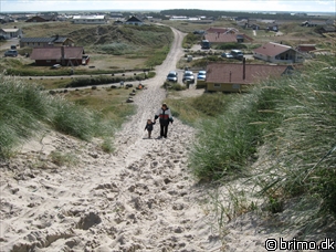 Miniature af billede nummer 906