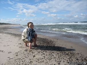 Miniature af billede nummer 907