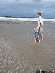 Miniature af billede nummer 908