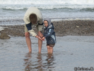 Miniature af billede nummer 909