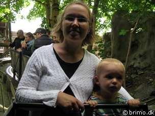 Miniature af billede nummer 915