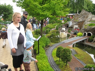 Miniature af billede nummer 916